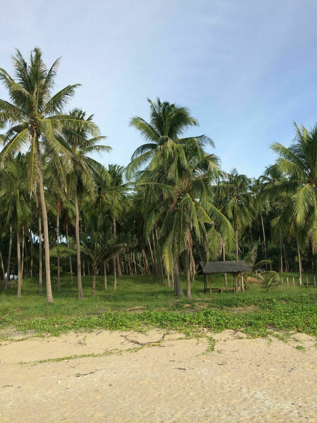 155 Salacoco Ban Krut  Bagian luar foto